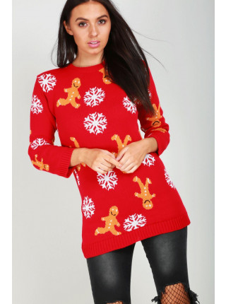 Eden Knitted Christmas Jumper Dress